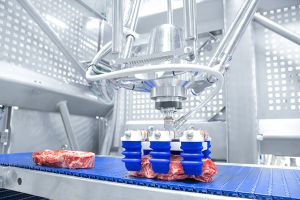 Die mGrip-Greifer sind besonders für das direkte Lebensmittelhandling geeignet, unter anderem für Fleisch und Fisch