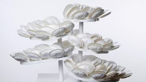 Syntegon Technology und BillerudKorsnäs präsentieren ein gemeinsames System für Papier-Strukturschalen mit einer einzigartigen Prägung und Form, beispielsweise für Werbeaktionen am Point of Sale oder Produktvorführungen auf einer Veranstaltung oder Messe