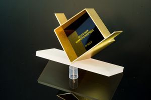 Den Höhepunkt der Veranstaltung bildet das Verkünden der Gold-Awards