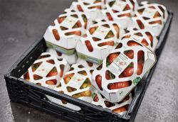 Mondi Grünburg ist Gewinner in der Rubrik "Umweltfreundliches Produkt"