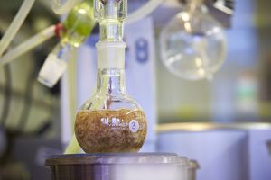 Das Labor bestimmt in einem kleineren Maßstab, wie sich die Verpackung in einem großen Recyclingwerk verhält